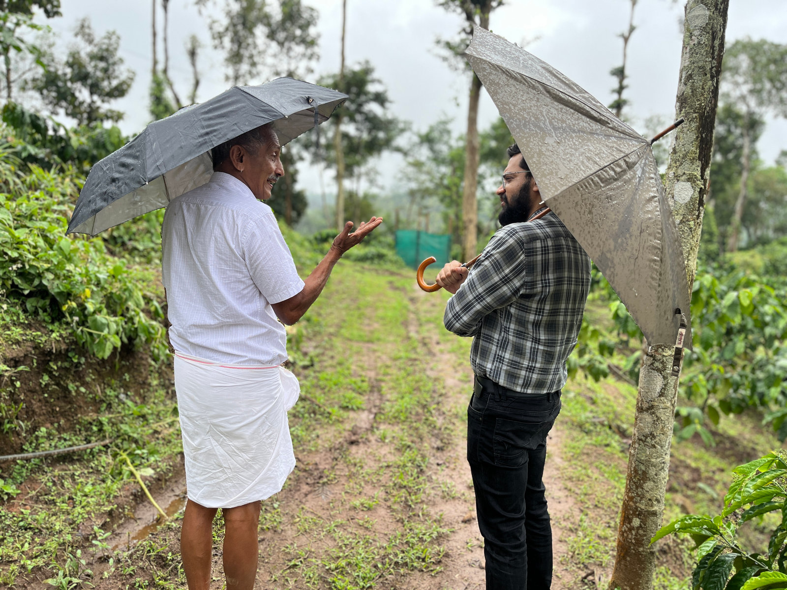 An NPoC researcher talks with a coffee farmer holding an umbrella on a farm in Wayanad